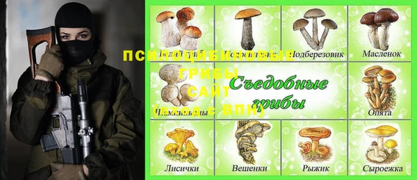 герыч Магас