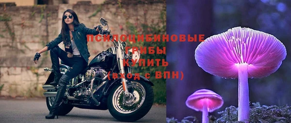 герыч Магас