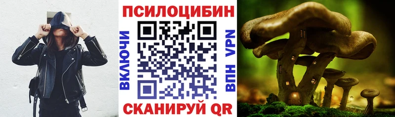 Купить закладки Кстово Псилоцибиновые грибы Psilocybe